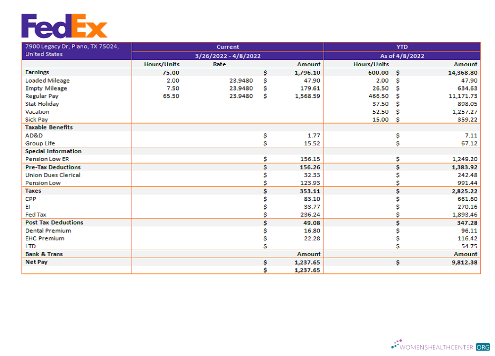 Download USA Fedex transportation company pay stub Photoshop template